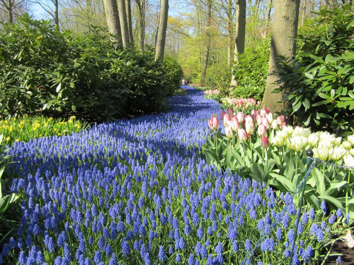 Appartamento Jabaki Garden House Hoofddorp Esterno foto